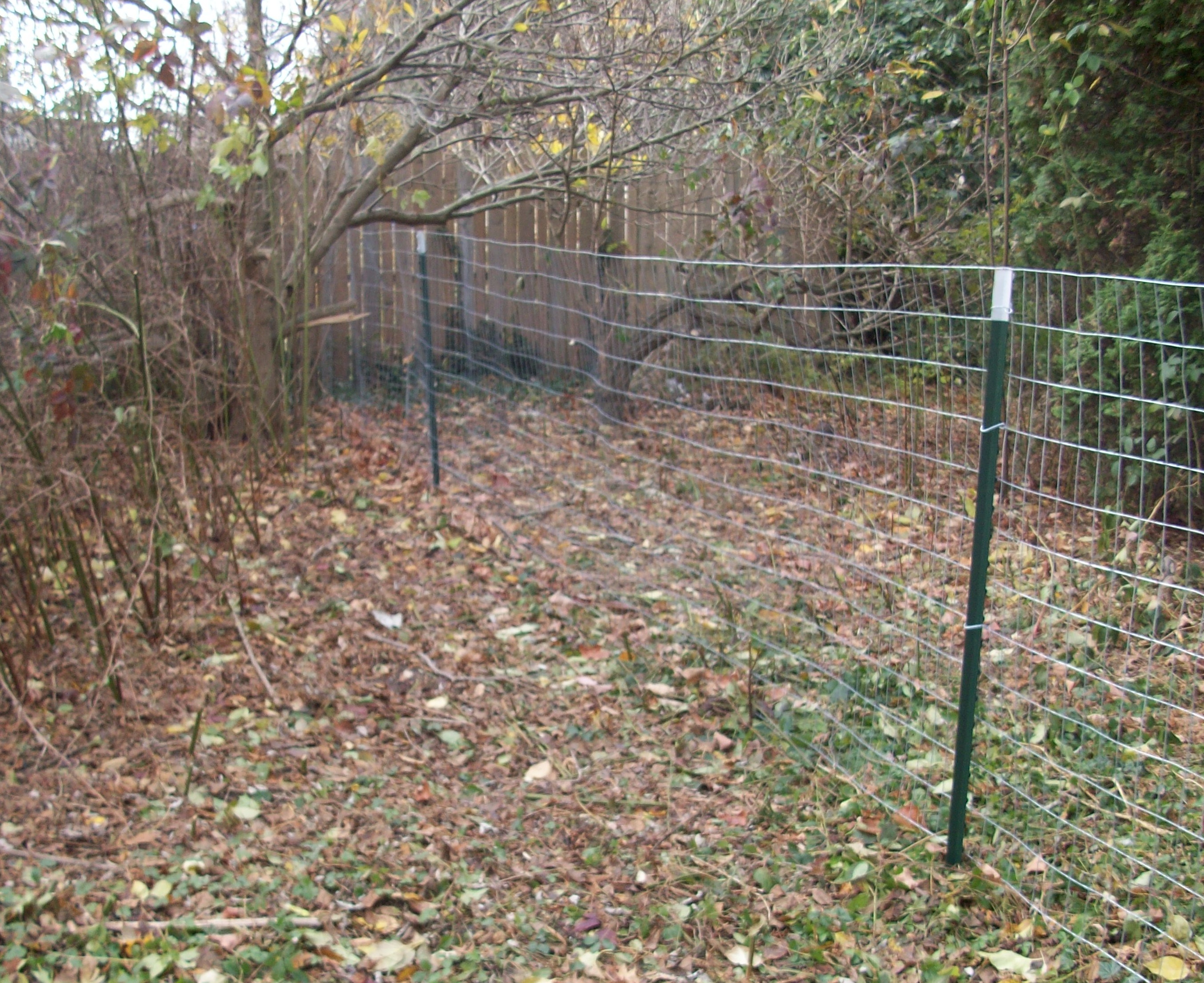 Dog Fence with Wire Fencing